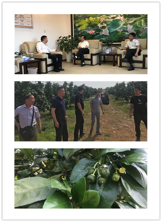 首页-PA真人集团有限公司官网