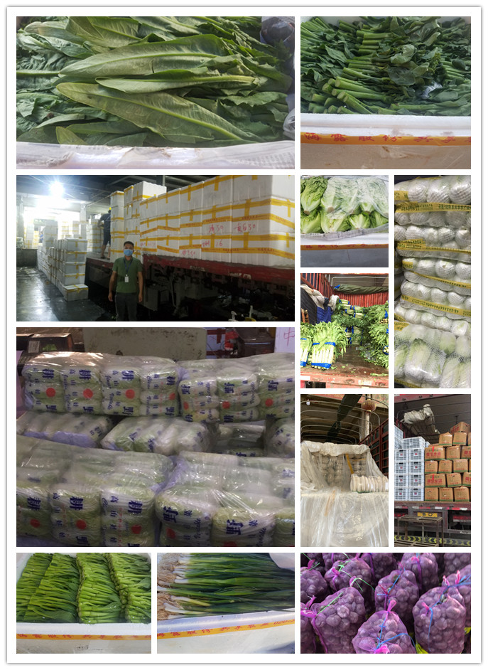 首页-PA真人集团有限公司官网