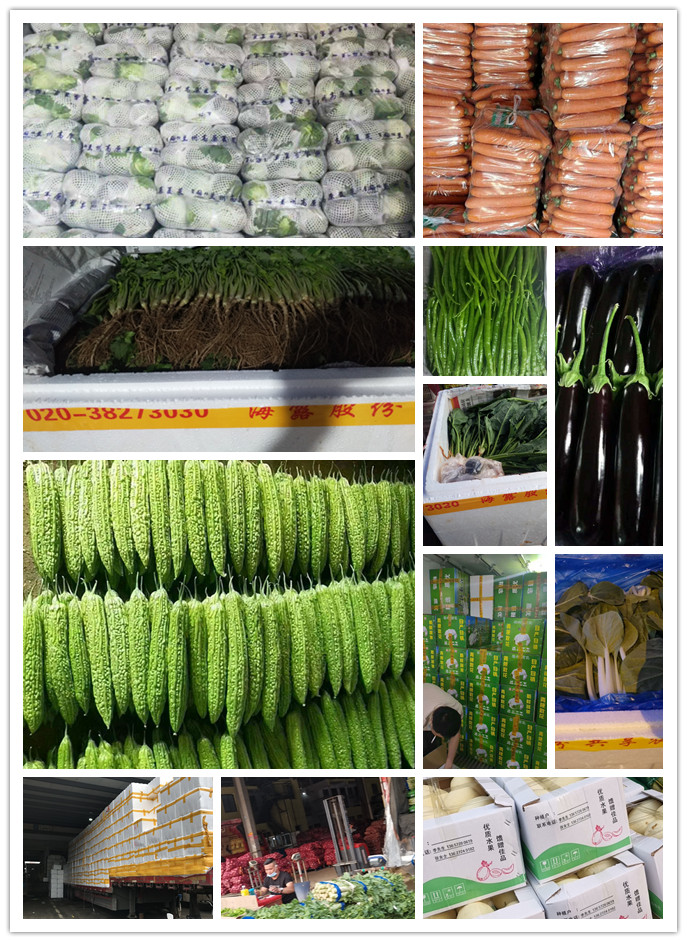 首页-PA真人集团有限公司官网