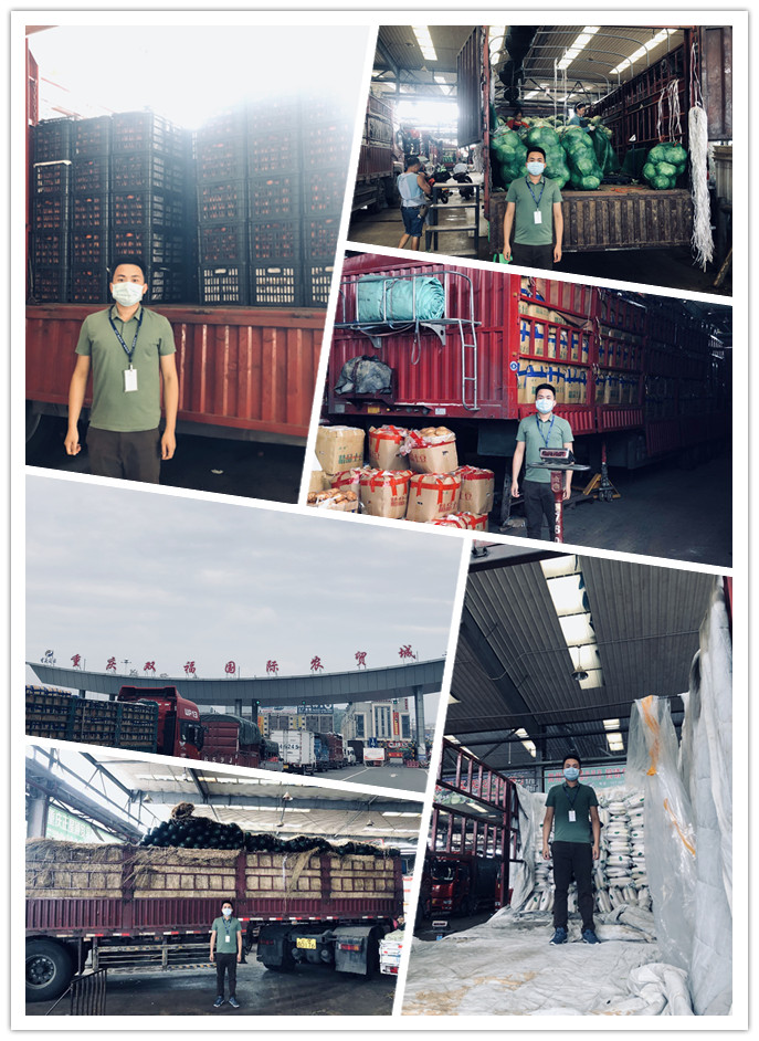 首页-PA真人集团有限公司官网