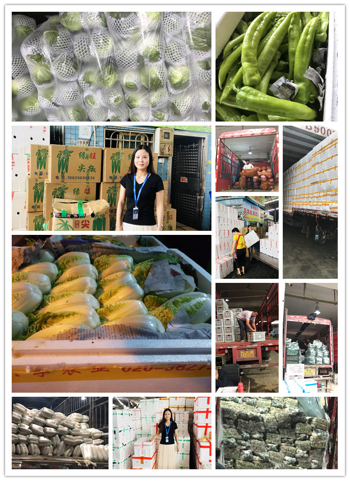 首页-PA真人集团有限公司官网