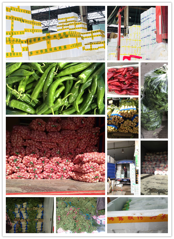 首页-PA真人集团有限公司官网