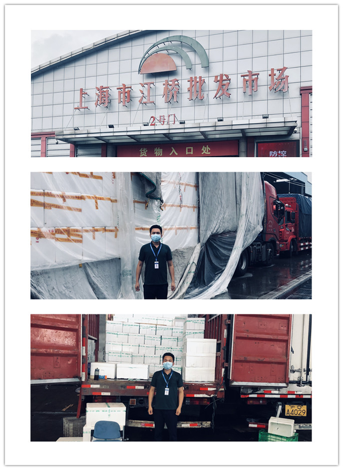 首页-PA真人集团有限公司官网