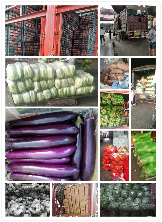 首页-PA真人集团有限公司官网