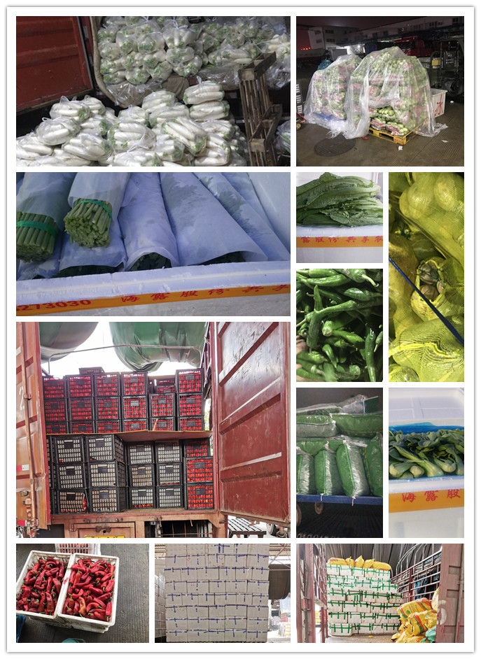 首页-PA真人集团有限公司官网