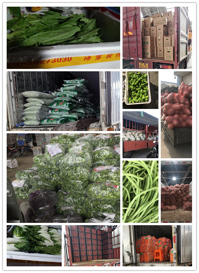 首页-PA真人集团有限公司官网