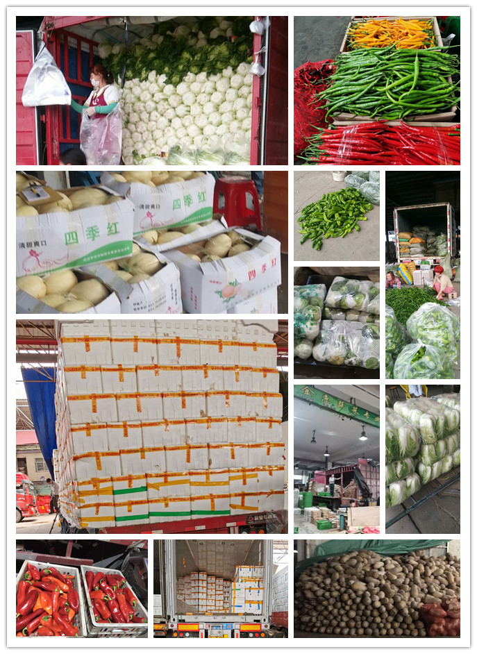 首页-PA真人集团有限公司官网