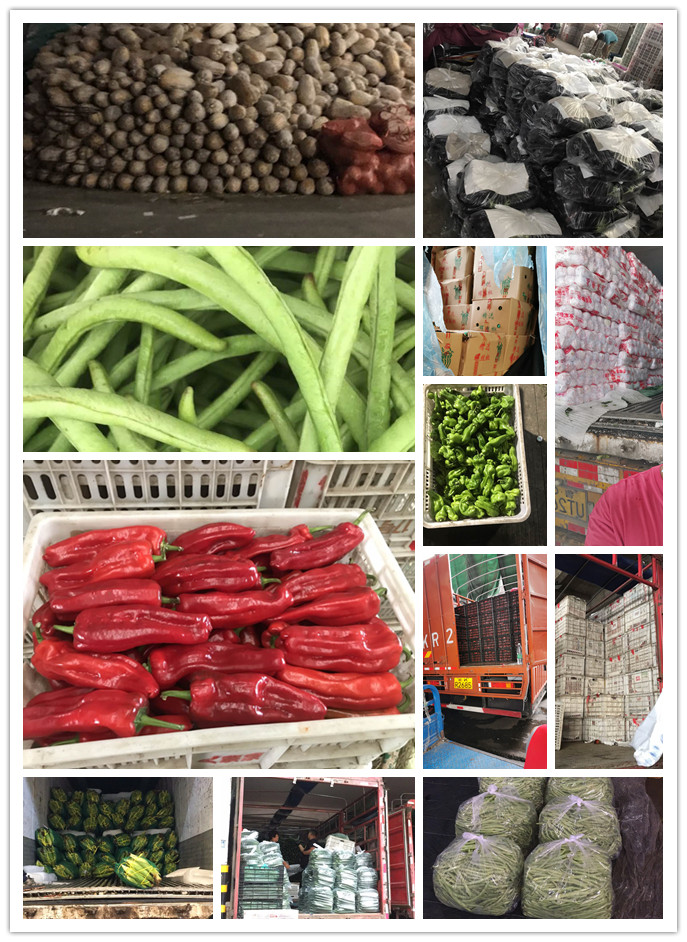 首页-PA真人集团有限公司官网