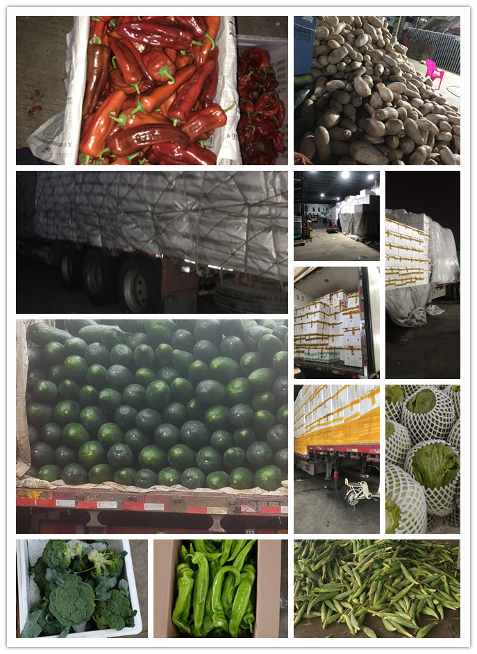 首页-PA真人集团有限公司官网