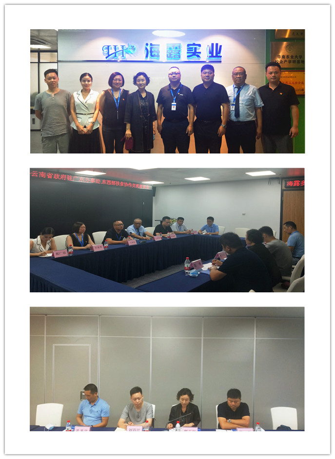 首页-PA真人集团有限公司官网