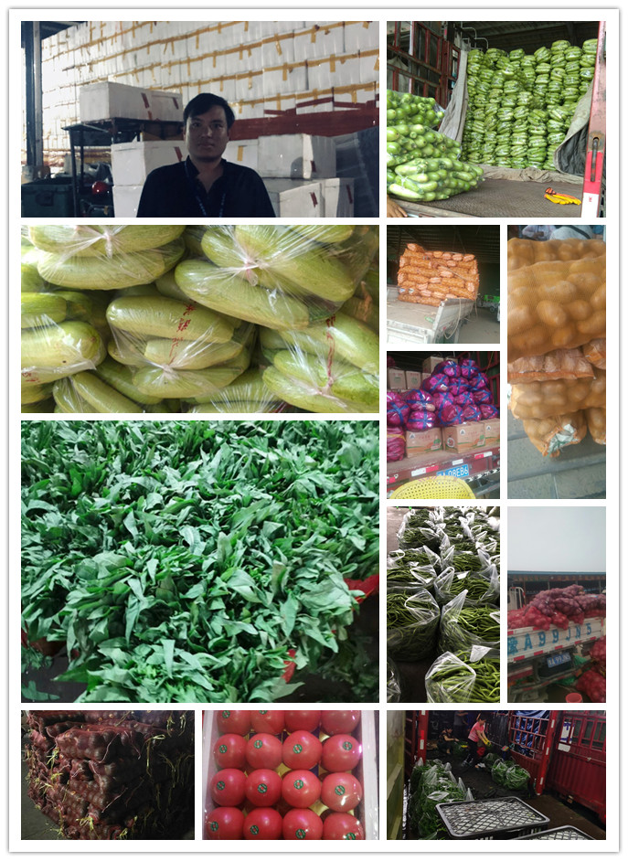 首页-PA真人集团有限公司官网