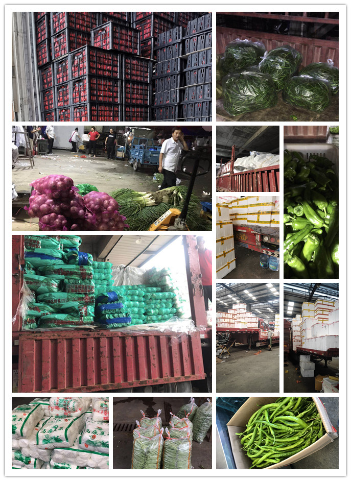 首页-PA真人集团有限公司官网