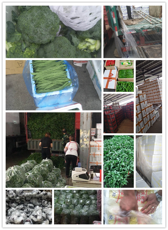 首页-PA真人集团有限公司官网