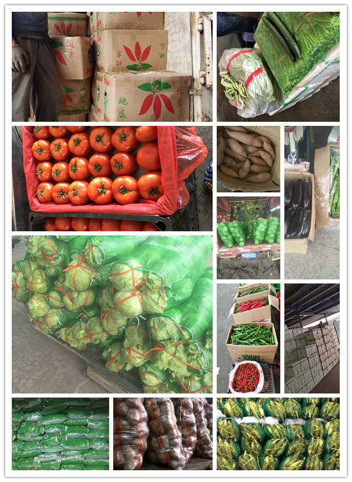 首页-PA真人集团有限公司官网