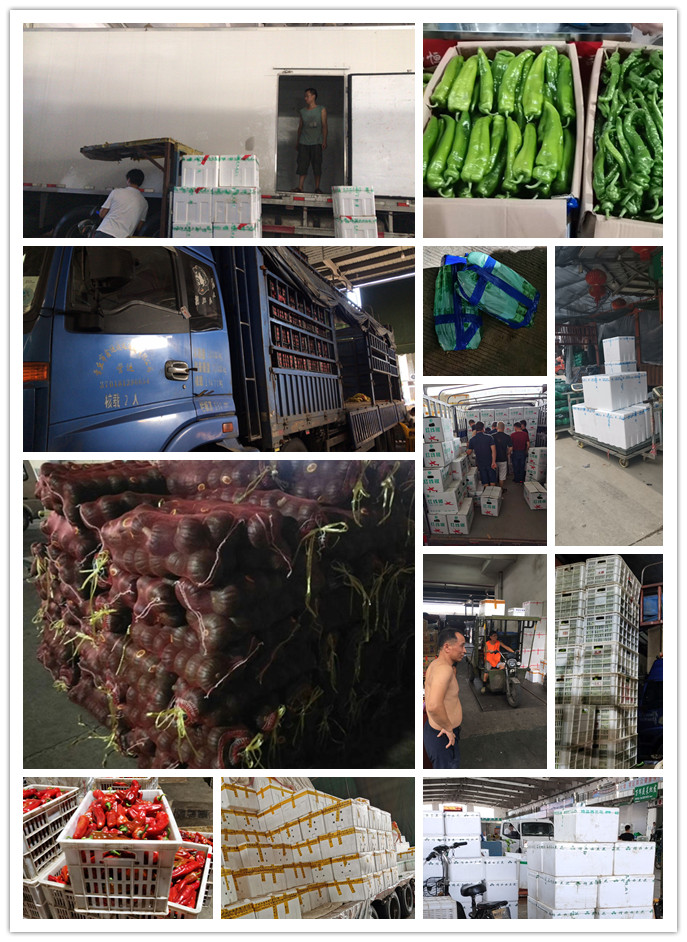 首页-PA真人集团有限公司官网