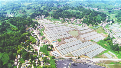 首页-PA真人集团有限公司官网