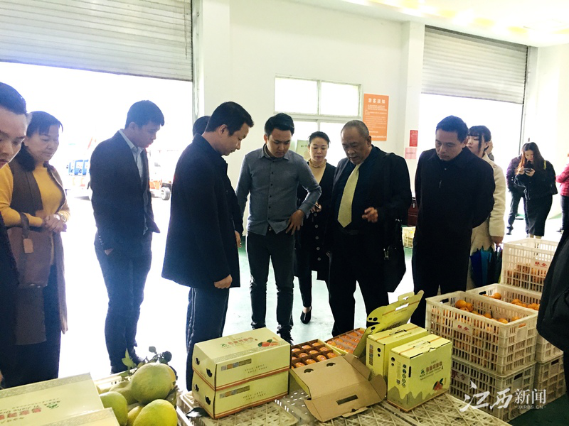 首页-PA真人集团有限公司官网