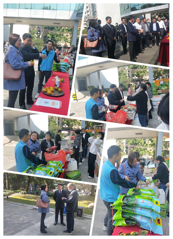 首页-PA真人集团有限公司官网