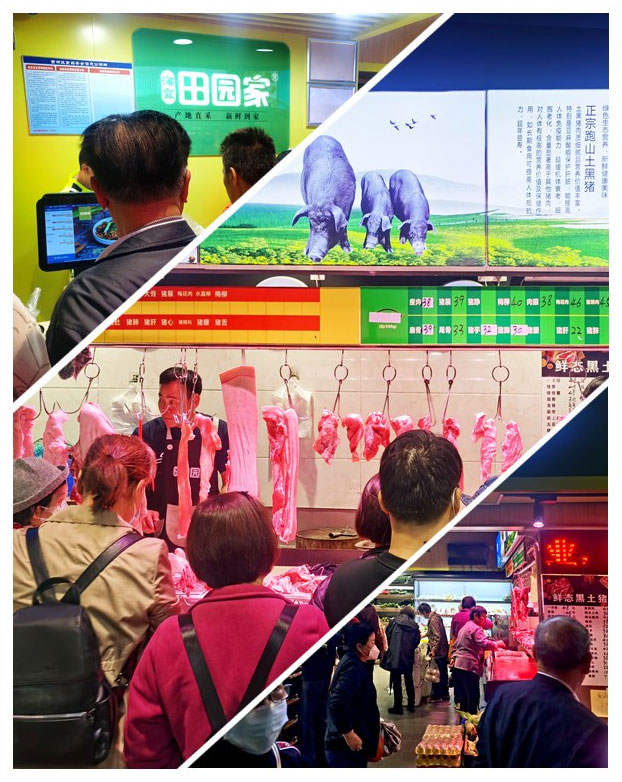 首页-PA真人集团有限公司官网