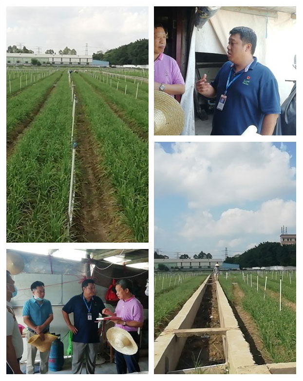 首页-PA真人集团有限公司官网