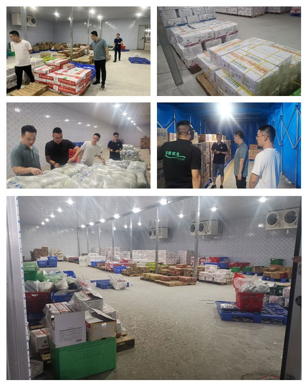 首页-PA真人集团有限公司官网