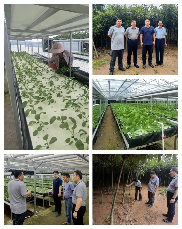 首页-PA真人集团有限公司官网