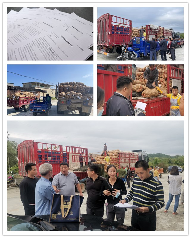 首页-PA真人集团有限公司官网