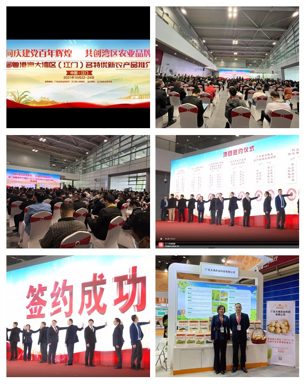 首页-PA真人集团有限公司官网