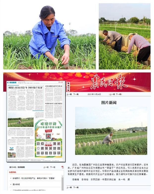 首页-PA真人集团有限公司官网