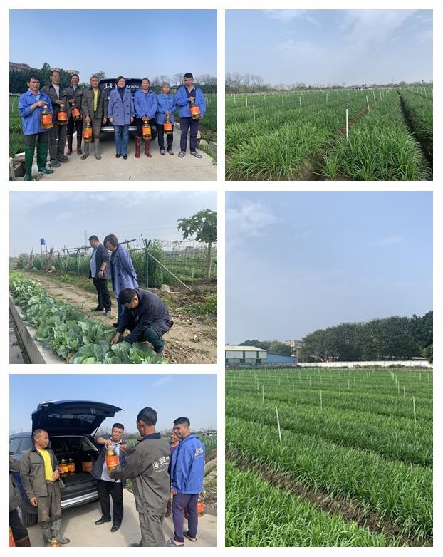 首页-PA真人集团有限公司官网