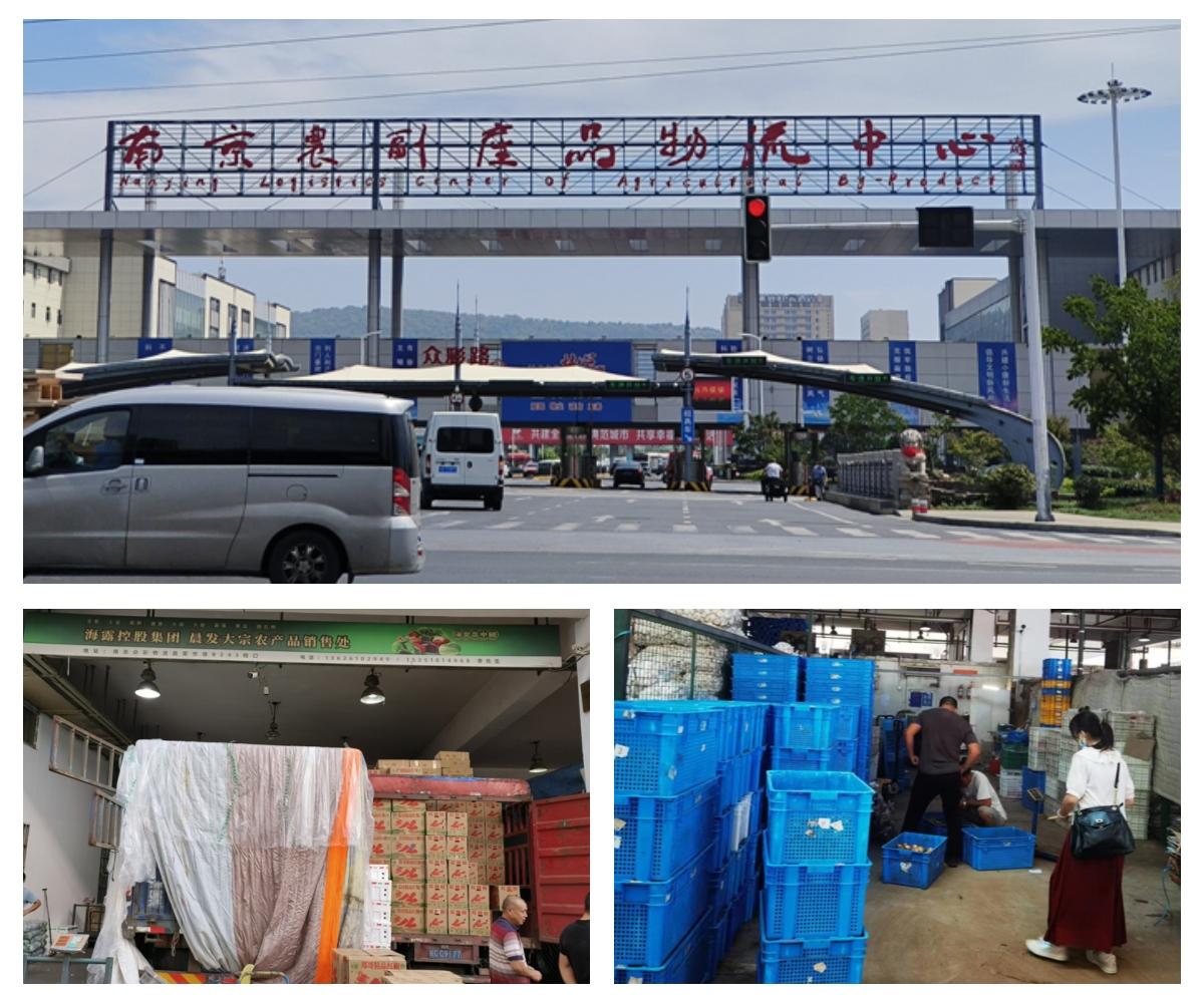 首页-PA真人集团有限公司官网