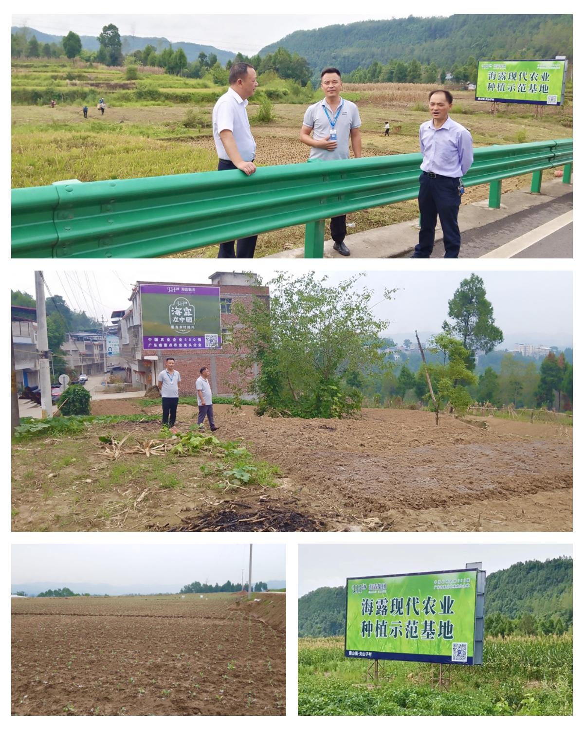 首页-PA真人集团有限公司官网