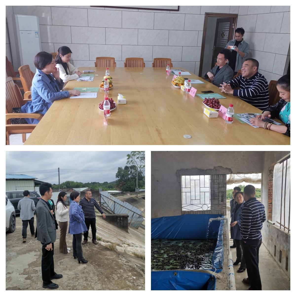 首页-PA真人集团有限公司官网