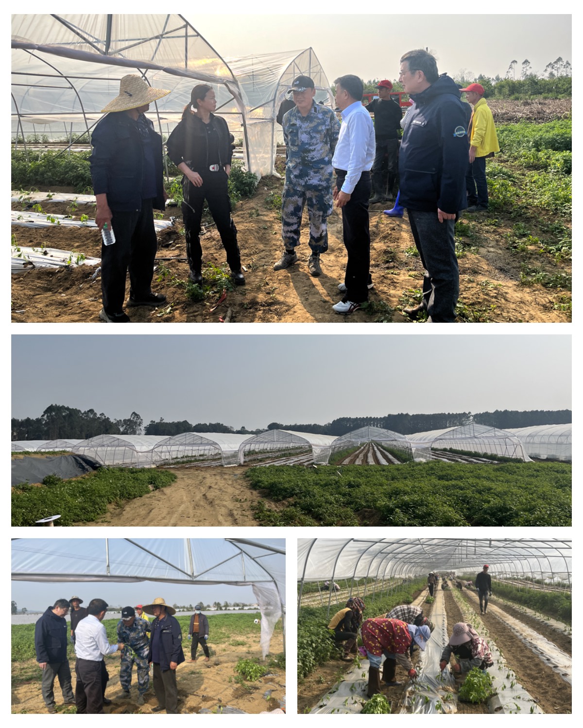 首页-PA真人集团有限公司官网