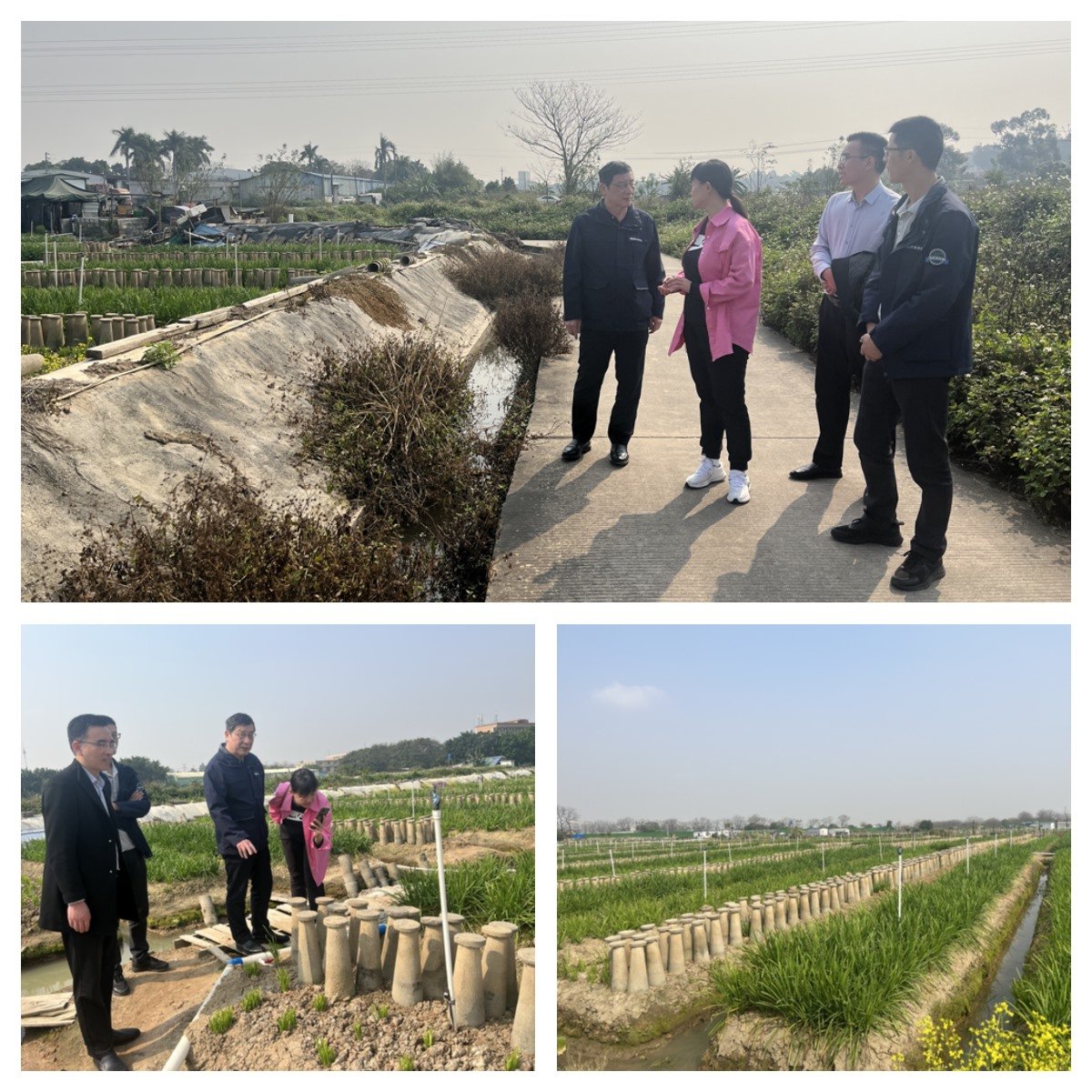 首页-PA真人集团有限公司官网