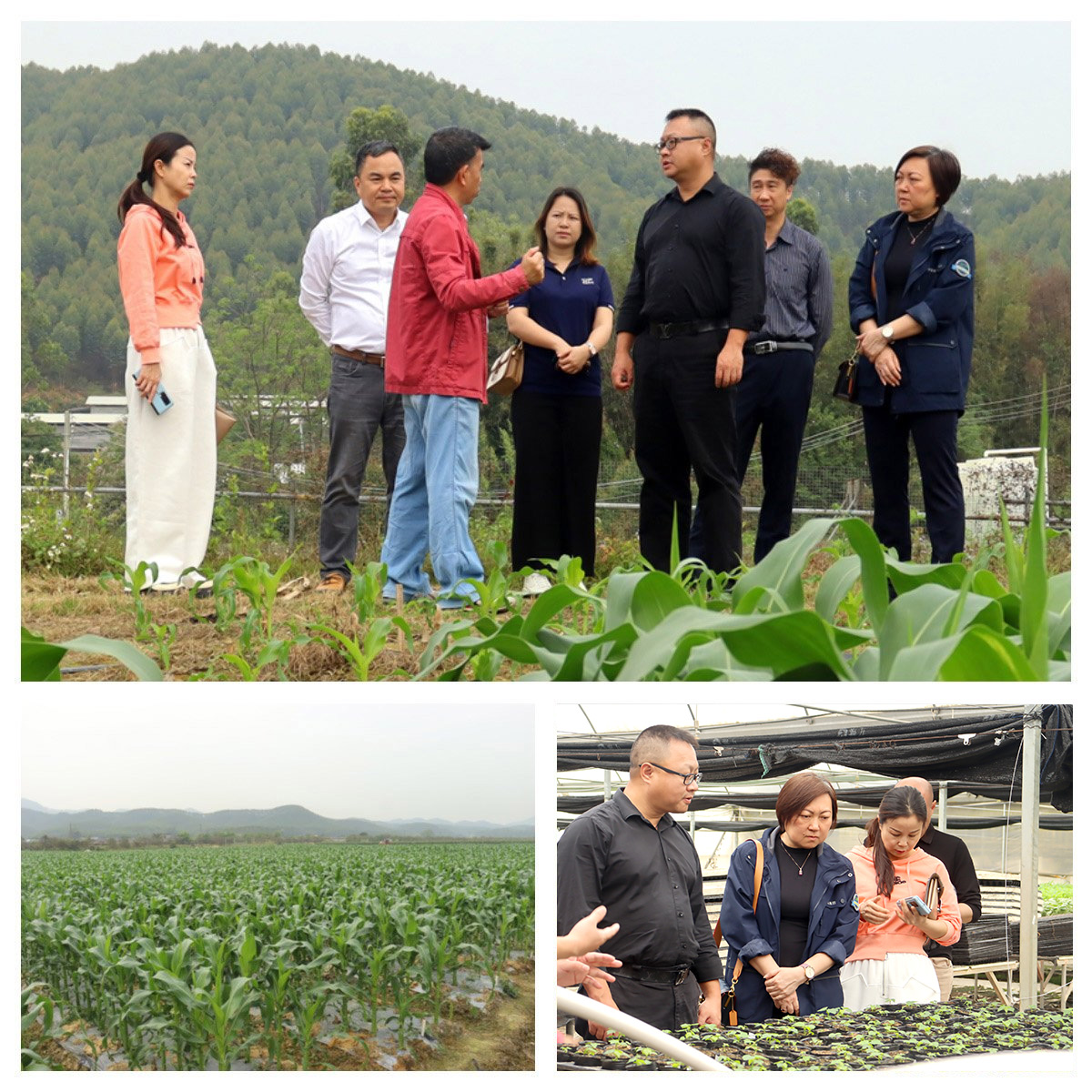 首页-PA真人集团有限公司官网