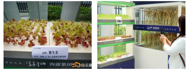 首页-PA真人集团有限公司官网