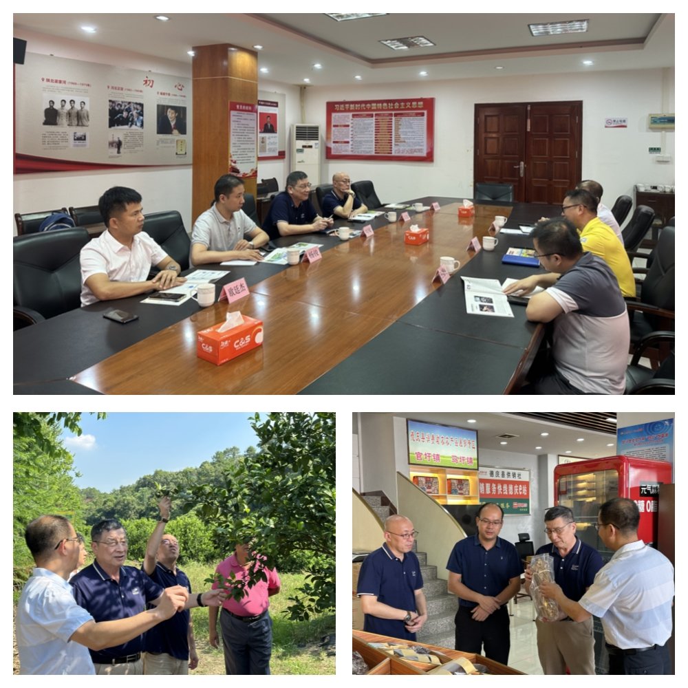 首页-PA真人集团有限公司官网