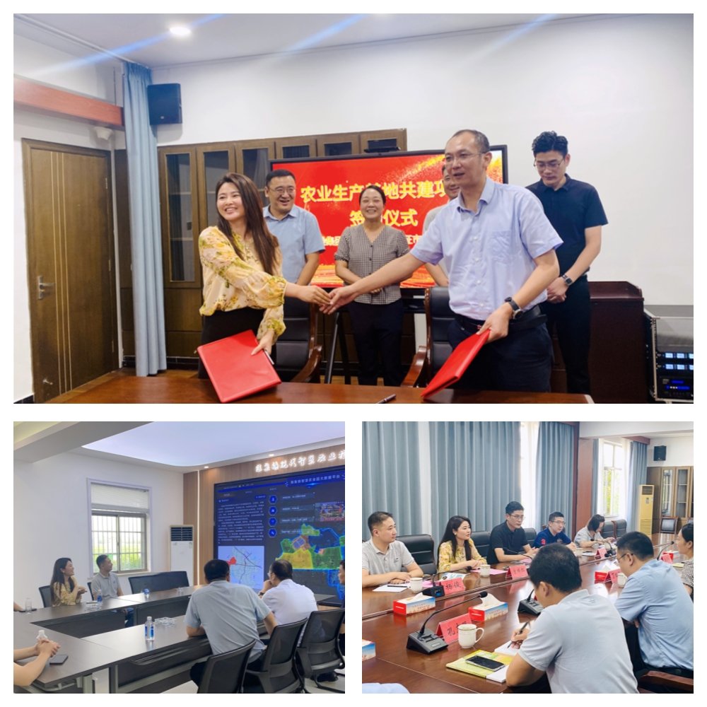 首页-PA真人集团有限公司官网