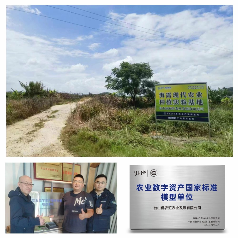 首页-PA真人集团有限公司官网