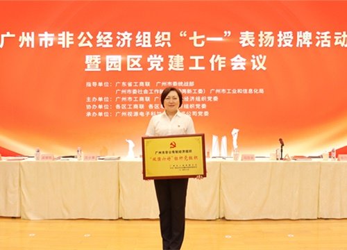 标杆引领，荣誉升级！集团党支部荣膺广州市非公有造经济组织“双强六好”标
