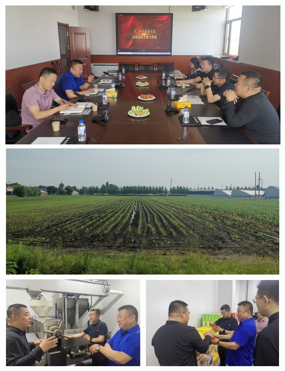 首页-PA真人集团有限公司官网