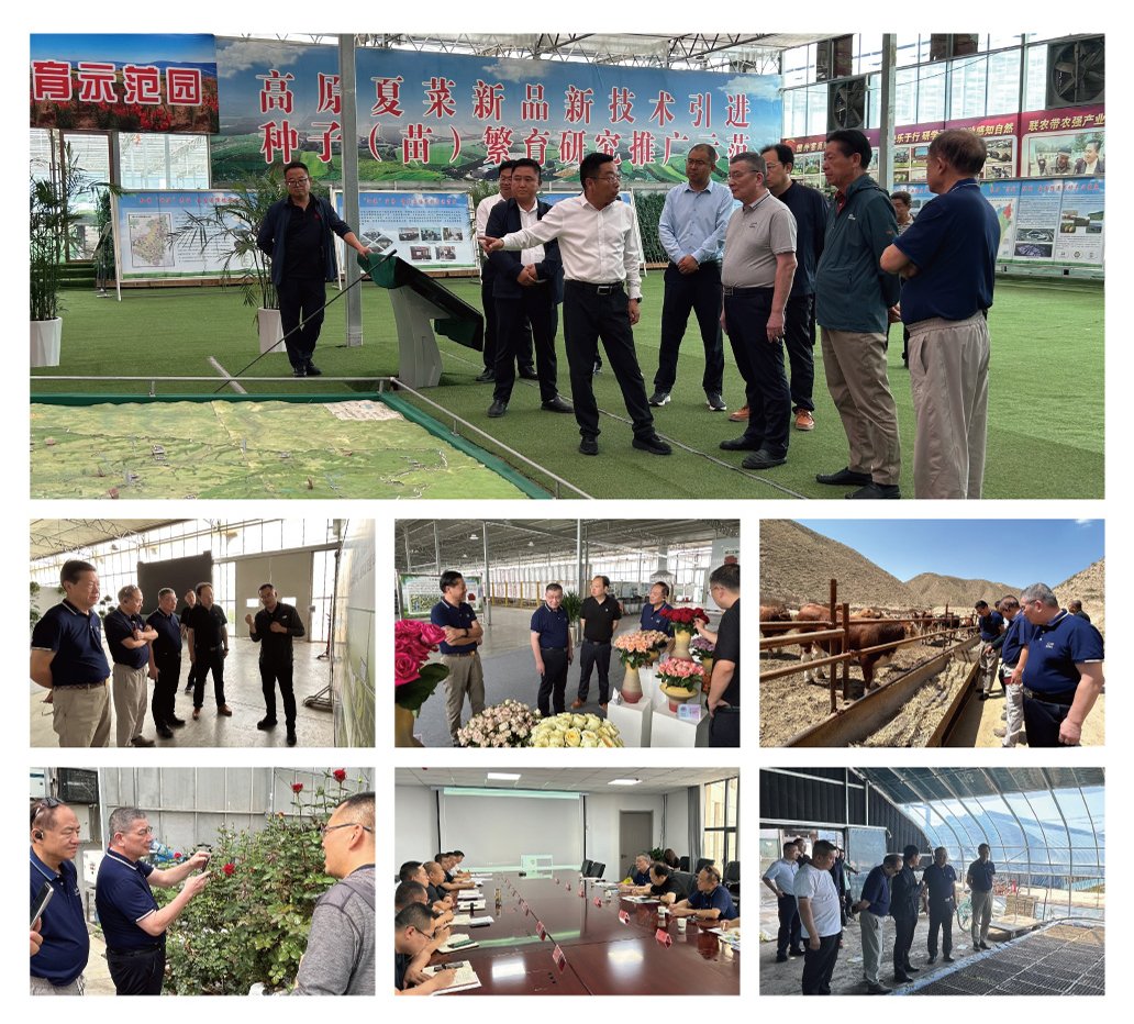 首页-PA真人集团有限公司官网