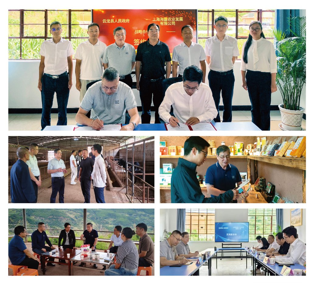 首页-PA真人集团有限公司官网